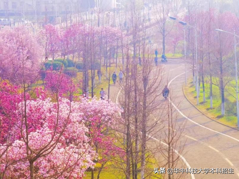 最新!又一榜单出炉,华中科技大学进步“飞快”,世界排名提升23名!(图4) 华中科技大学内地高校排名第九_华中科技大学bbs_华中科技大学2022-23世界大学排名