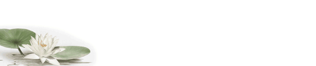 哲思｜一个人姿态越低，境界越高