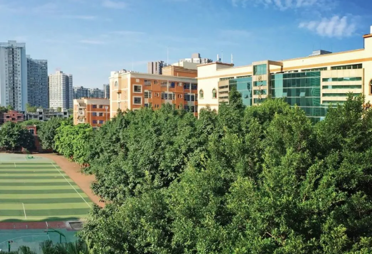 一键收藏!重庆公办学校国际部汇总(图8) 重庆国际学校选择指南_重庆二外国际部学费_重庆国际学校排名