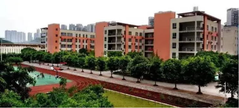 一键收藏!重庆公办学校国际部汇总(图10) 重庆国际学校排名_重庆二外国际部学费_重庆国际学校选择指南