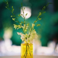 陀螺仪延迟手机设置_手机陀螺仪延迟解决方法_陀螺仪维修