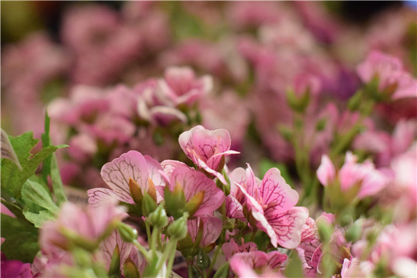 市场主流哪家强? 中低级单反横向大评测(图112) 对比