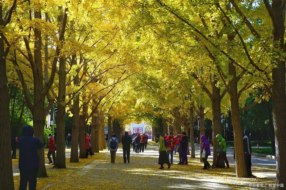 积极圈子塑造人生_不同环境造就不同人生_生活圈子决定命运