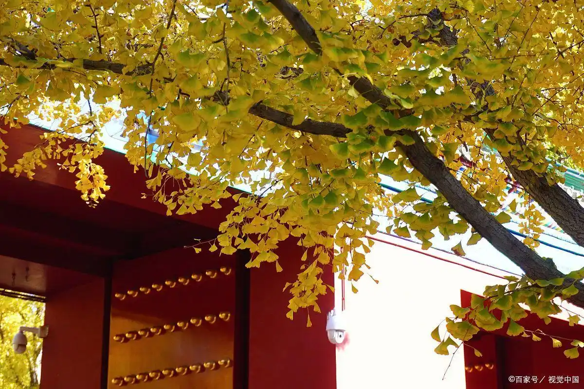 不同环境造就不同人生_生活圈子决定命运_积极圈子塑造人生