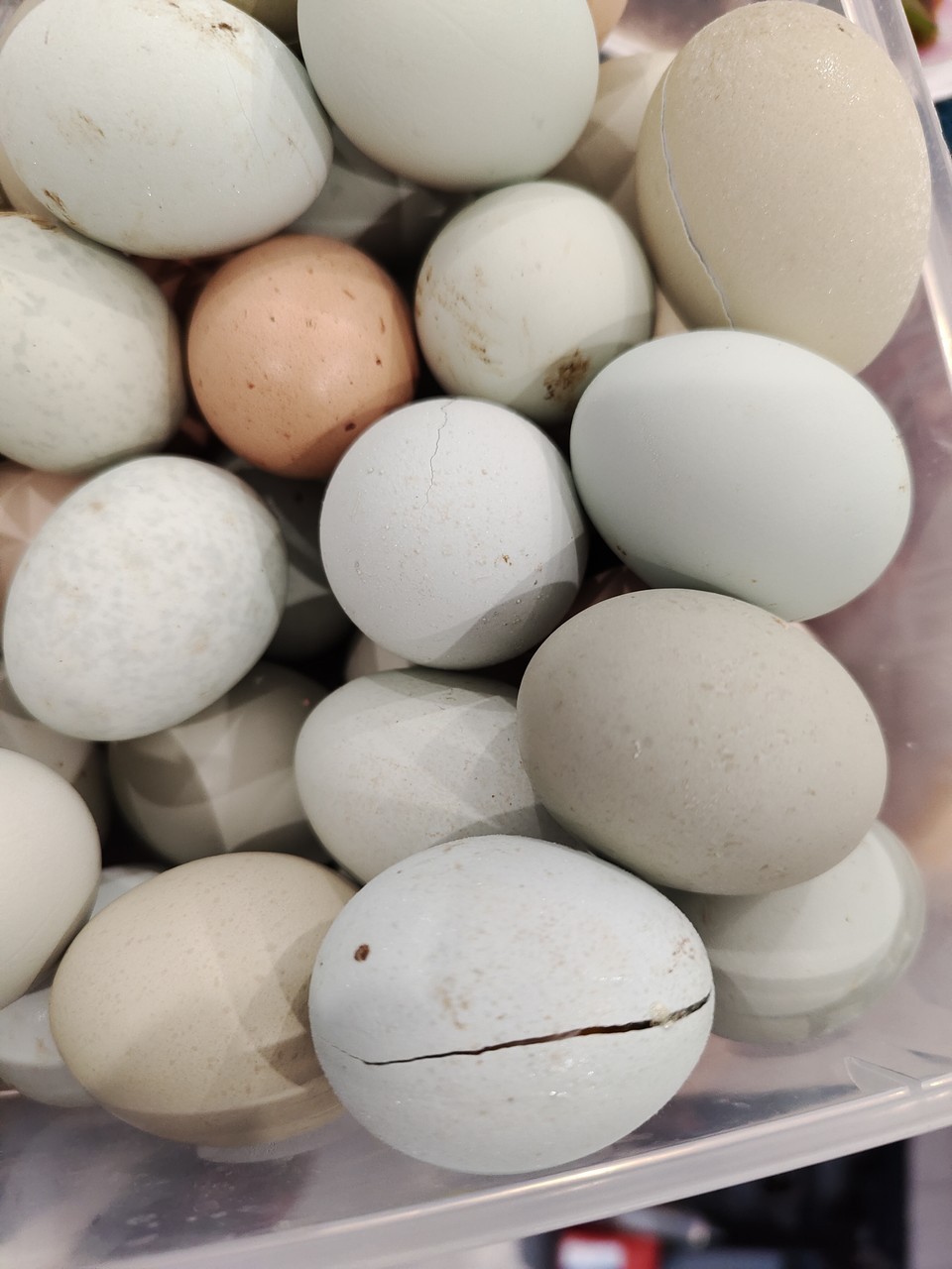 自己动手维修风冷冰箱冷藏区温度过低的问题及分析