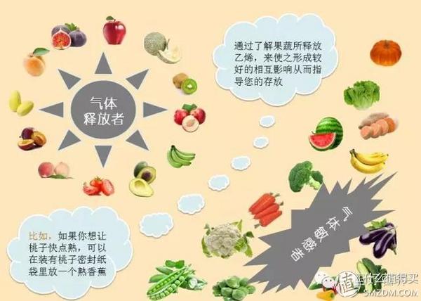 松下冰箱维修电话_冰箱选购经验_尺寸选择攻略