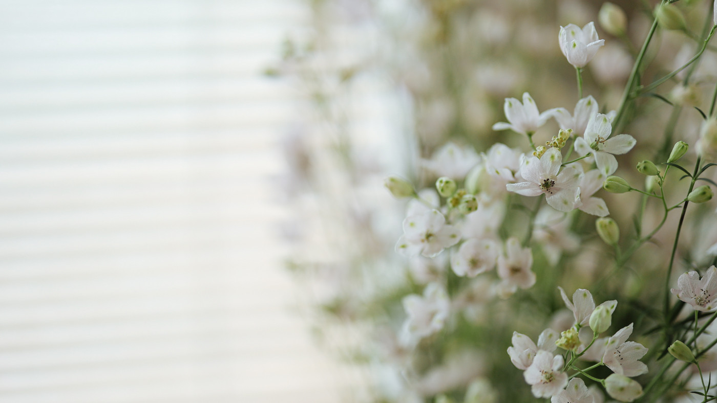 佳能RF50mm F1.2L USM无反标准定焦镜头的不二选择(图6) 佳能最新镜头_RF 50mm F1.2L USM暗光室内拍摄表现_佳能RF 50mm F1.2L USM全开光圈画质