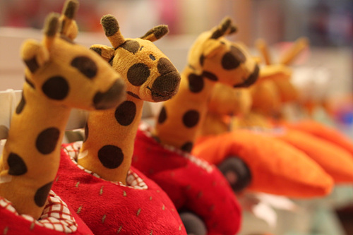 全高清视频单反 佳能500D评测(图80) 佳能500D样张