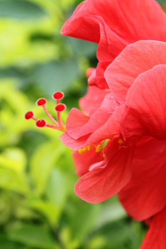 全高清视频单反 佳能500D评测(图84) 佳能500D样张