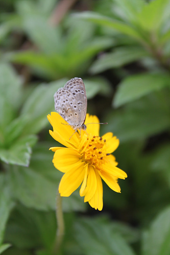 全高清视频单反 佳能500D评测(图85) 佳能500D样张