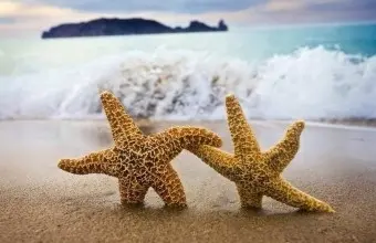 三亚旅游攻略_春节海南自助游花费_西沙邮轮四日游