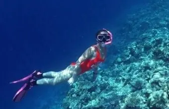 三亚旅游攻略_春节海南自助游花费_西沙邮轮四日游