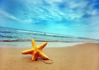 春节海南自助游花费_西沙邮轮四日游_三亚旅游攻略