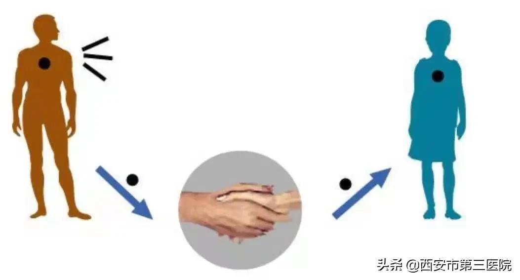 疥螨寄生部位和传播途径_治疗螨虫性皮炎方法_疥疮奇痒症状