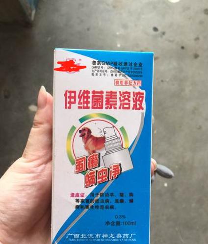 治疗螨虫性皮炎方法_预防狗狗皮肤病_治疗狗狗皮肤病攻略