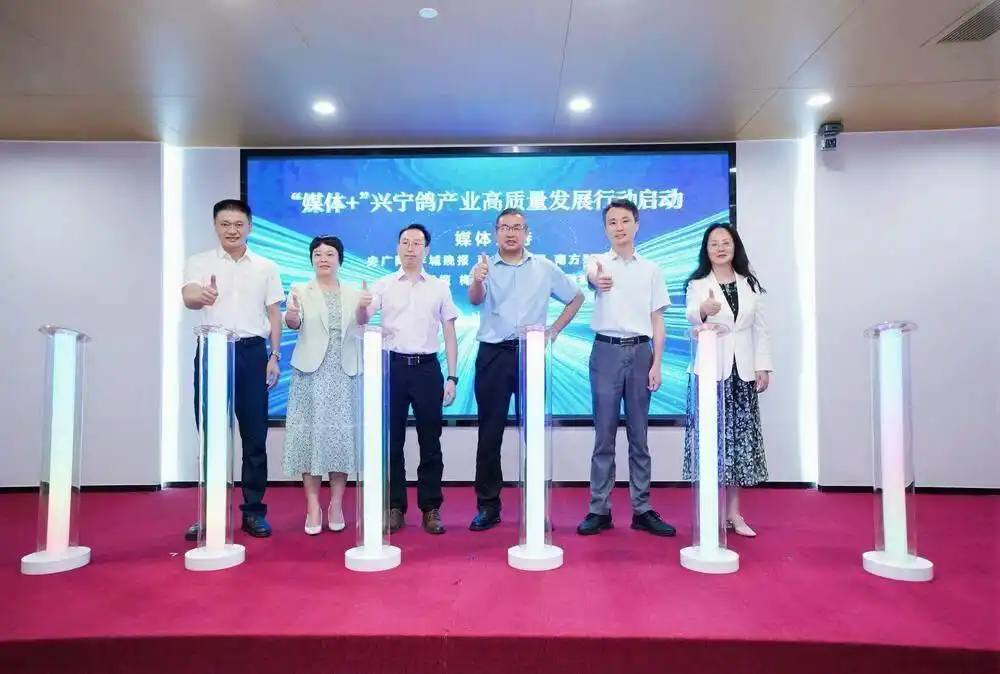 破解县域经济“成长的烦恼”,广东“媒体+”赋能兴宁鸽飞出大梦想(图3) 广东农业龙头企业_兴宁鸽产业高质量发展_媒体+兴宁鸽产业升级