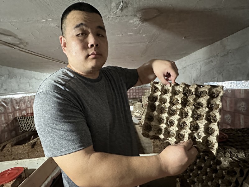 大学生杨文涛创业养蝎子用科技赋能互利共赢