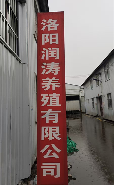 洛阳润涛养殖有限公司蝎子养殖_蝎子养殖技术培训_蝎子价格2025