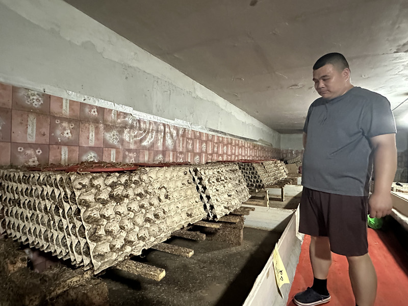 蝎子价格2025_蝎子养殖技术培训_洛阳润涛养殖有限公司蝎子养殖