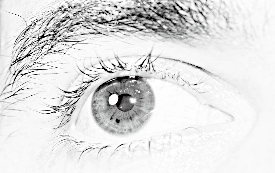 素描人物综述(图5) 素描头像基础步骤_素描人物入门_素描画眉毛的技巧图解