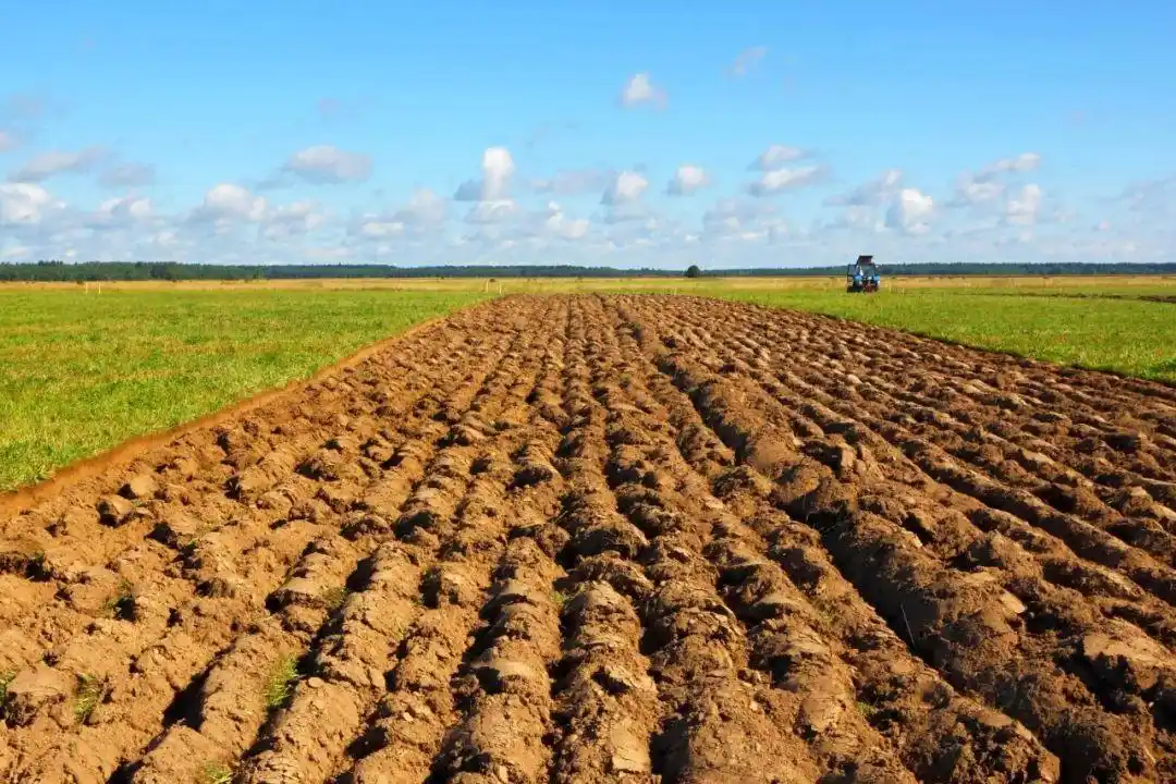 “农业税”将再次征收?15年后再被提及,与随意占用闲置土地有关?(图3) 农业税取消后可能再次征收_农业税制_闲置撂荒土地利用政策