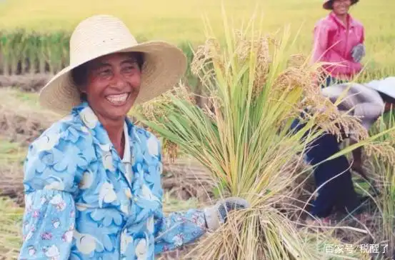 废除15年的“农业税”又将重启?农民们愁眉不展,怎么回事?(图11) 农业税制度_农业税制改革时间排列顺序_农业税制