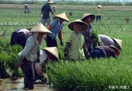 废除15年的“农业税”又将重启?农民们愁眉不展,怎么回事?(图8) 农业税制改革时间排列顺序_农业税制_农业税制度