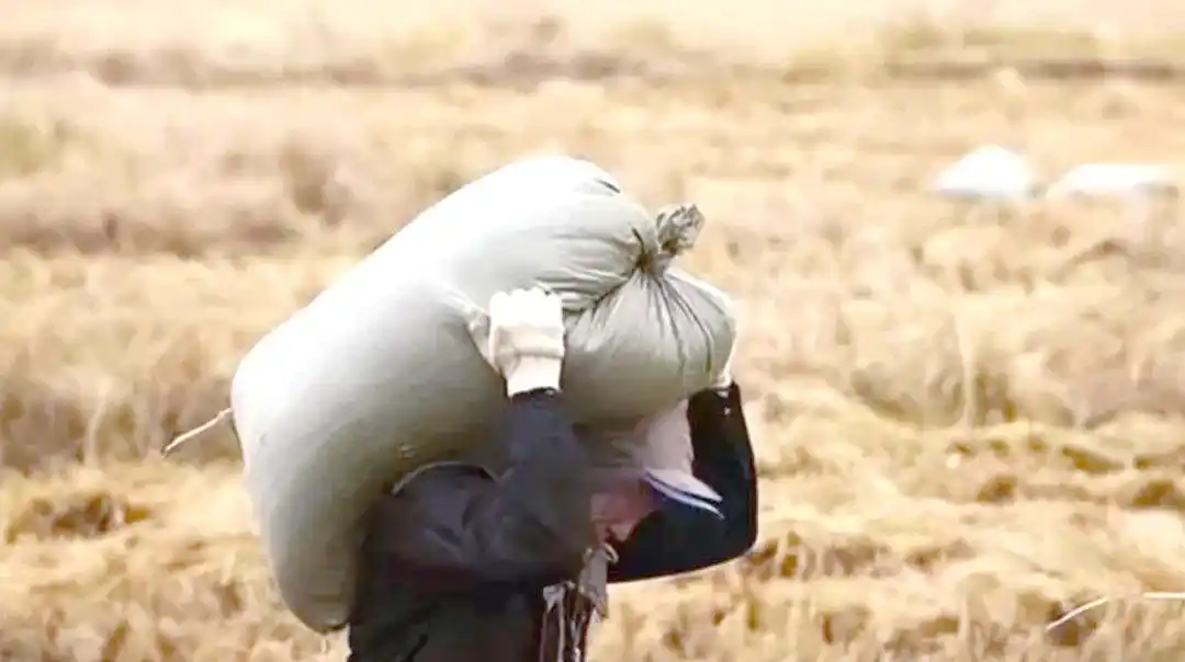 从春秋到2005：农业税的历史起源与终结