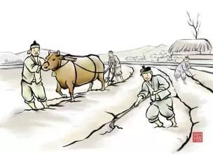 一文读懂浩瀚五千年中国赋税制度