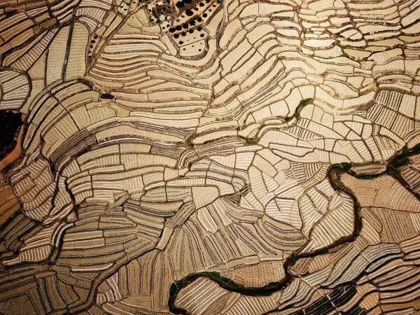 一文读懂浩瀚五千年中国赋税制度(图6) 中国税史演变_农业税制_赋税起源与发展