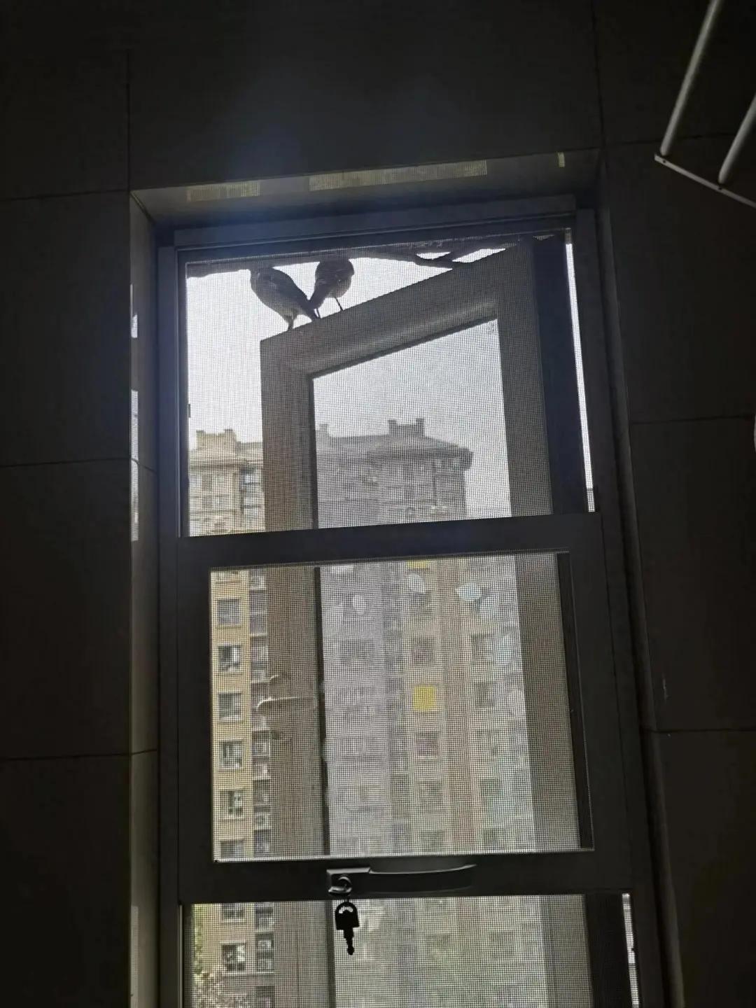 别大意!有人家里的卫生间被“入侵”了,吊顶上面让人大呼意外(图2) 集成吊顶安装止逆阀_卫生间噪音异响解决方法_pvc扣板吊顶怎么拆