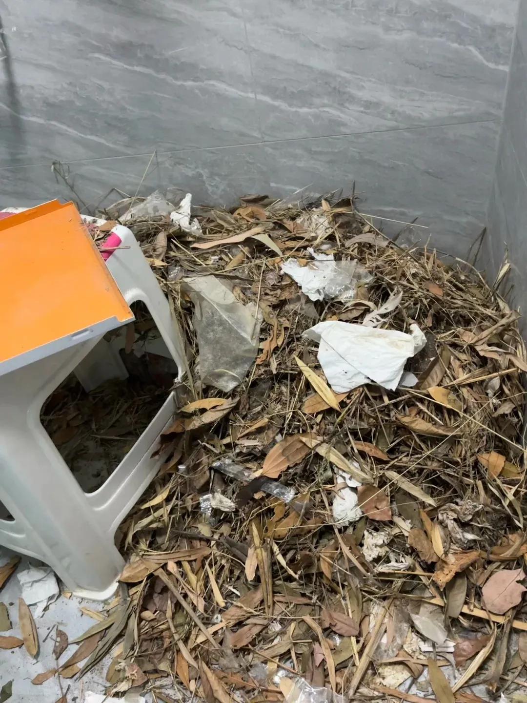 别大意!有人家里的卫生间被“入侵”了,吊顶上面让人大呼意外(图6) 卫生间噪音异响解决方法_集成吊顶安装止逆阀_pvc扣板吊顶怎么拆