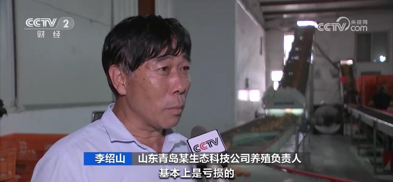 鸡蛋价格大涨,为何不“蛋”定?接下来怎么走?(图12) 鸡蛋价格上涨原因分析_鸡蛋价格上涨带来的影响_鸡蛋近期价格走势