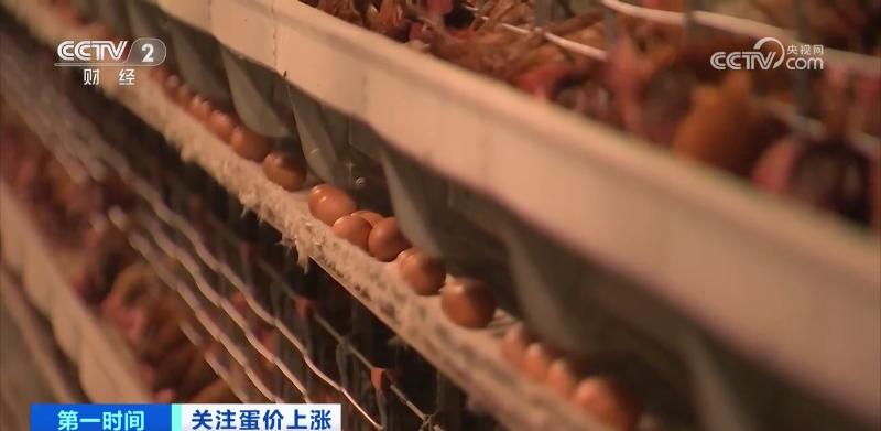 鸡蛋价格大涨,为何不“蛋”定?接下来怎么走?(图13) 鸡蛋近期价格走势_鸡蛋价格上涨带来的影响_鸡蛋价格上涨原因分析