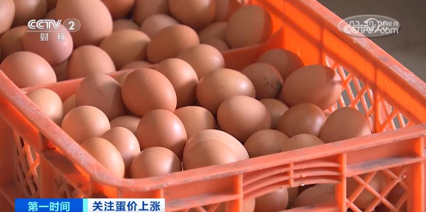 鸡蛋价格大涨,为何不“蛋”定?接下来怎么走?(图3) 鸡蛋近期价格走势_鸡蛋价格上涨带来的影响_鸡蛋价格上涨原因分析