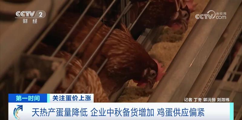 鸡蛋价格大涨,为何不“蛋”定?接下来怎么走?(图8) 鸡蛋价格上涨带来的影响_鸡蛋近期价格走势_鸡蛋价格上涨原因分析