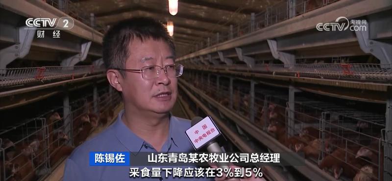 鸡蛋价格大涨,为何不“蛋”定?接下来怎么走?(图9) 鸡蛋价格上涨原因分析_鸡蛋近期价格走势_鸡蛋价格上涨带来的影响