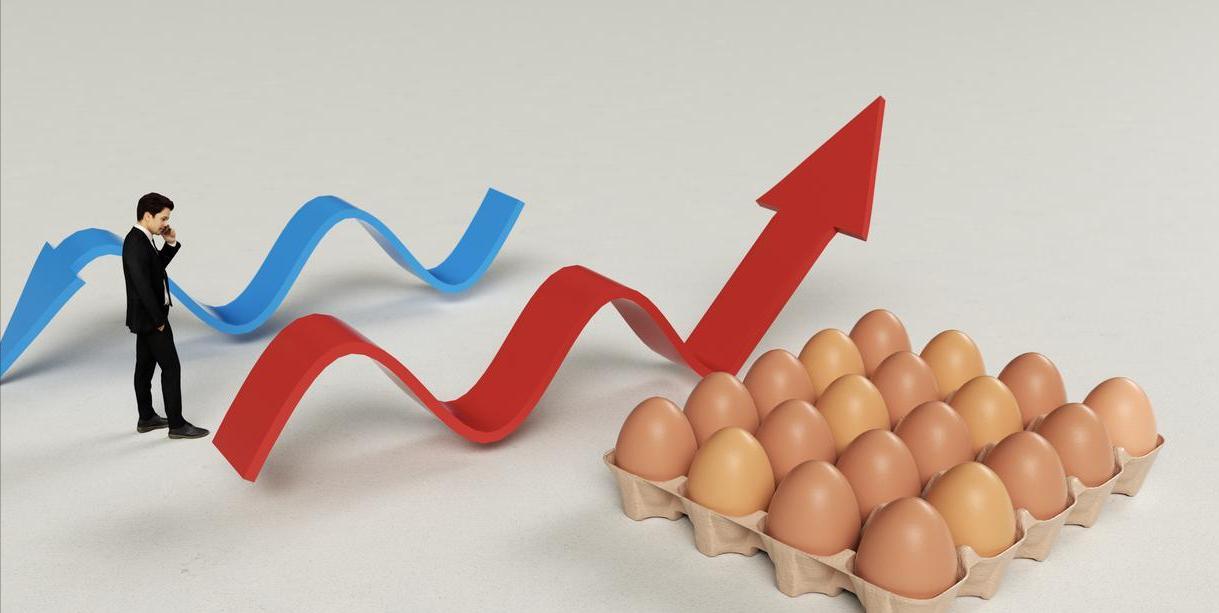 蛋价上涨“昙花一现”,涨幅“全降下来”,更关键的是还没到底?(图3) 蛋价下跌原因分析_国内鸡蛋市场10月价格走势_鸡蛋价格上涨带来的影响