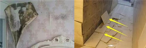 好墙面有标准！家装环保品牌美巢墙锢，双向渗透更牢靠