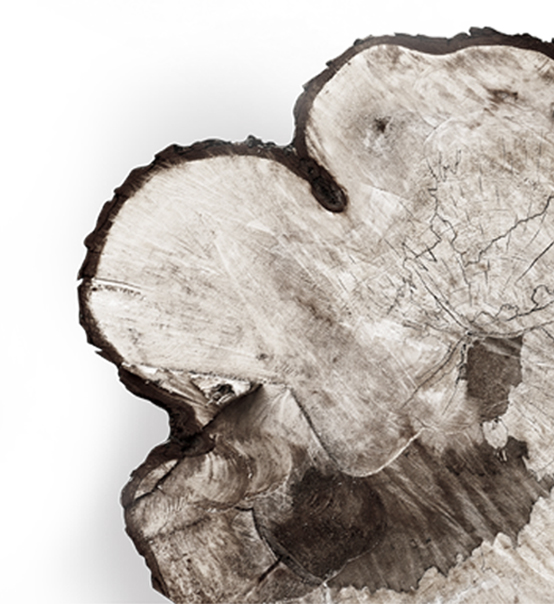 欧派厨房电器(图2) 欧派和我乐橱柜怎么样_欧派家居绿色环保产品_欧派家居世界级设计师合作