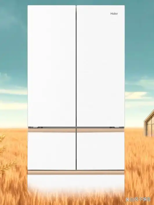 澳柯玛冰箱售后服务电话_海尔冰箱和澳柯玛冰箱哪个更好_海尔冰箱与澳柯玛冰箱对比