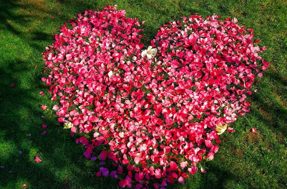 十大天价摩托,你骑过哪个(图30) 奢华摩托车_芬里尔摩托_全球十大奢华摩托