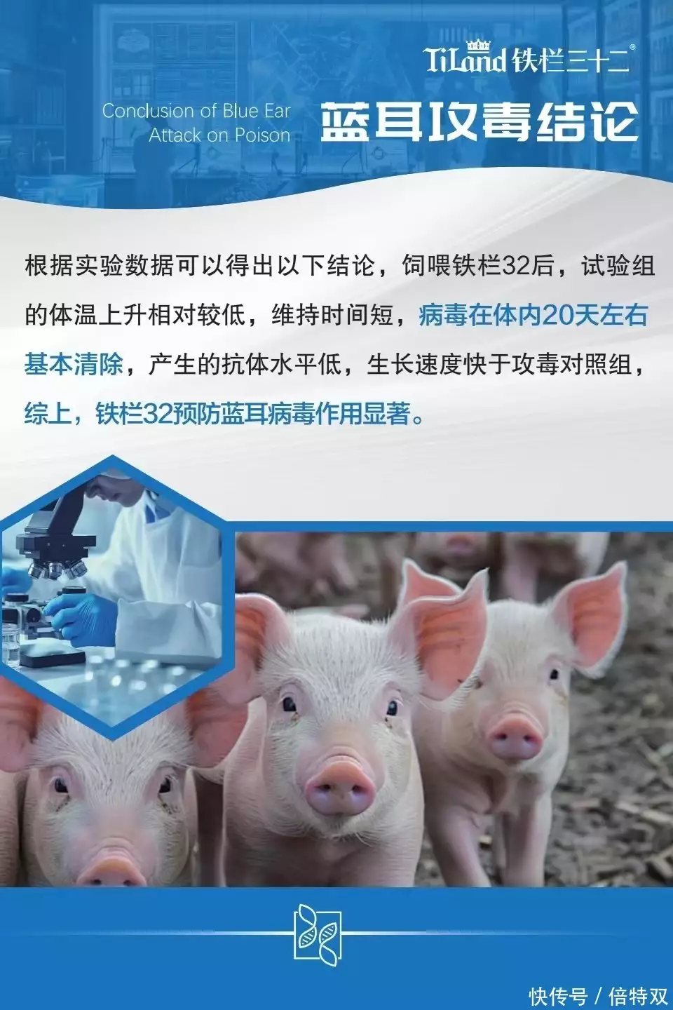 破解母猪亚健康困局:铁栏三十二以技术优势守护养殖健康(图3) 母猪养殖成本_铁栏三十二母猪亚健康防控作用_母猪亚健康临床表现与危害