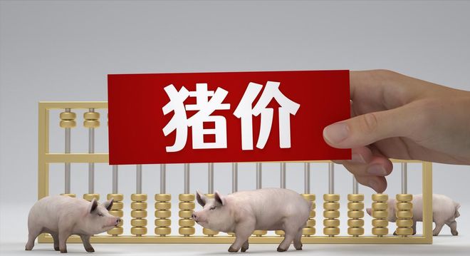 2025.11.14-明天猪价