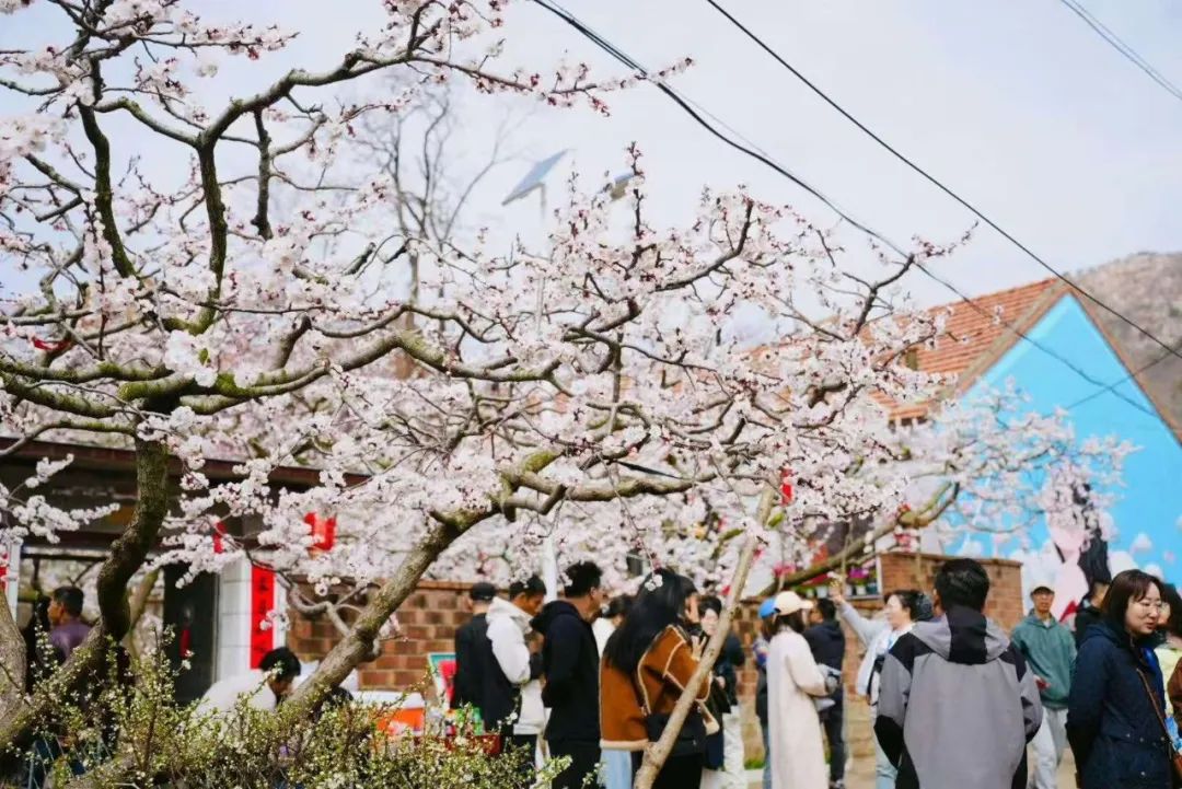 黄海水产品批发市场 北纬39度 海鲜王国_鸭绿江口湿地 世界自然遗产地 观鸟胜地_丹东东港海鲜批发市场