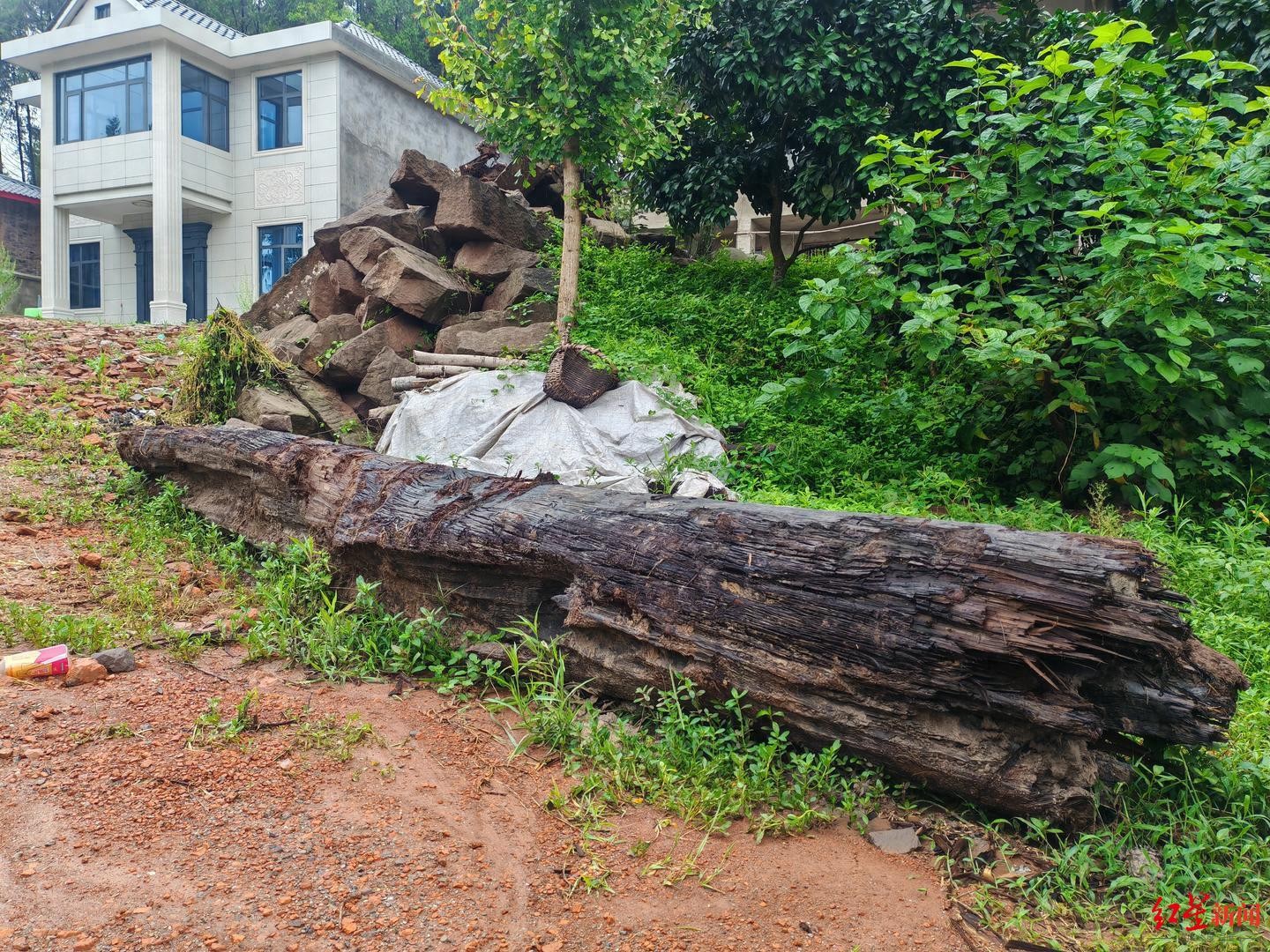 “村庄挖出疑似乌木”调查：村民称曾有疑似乌木被挖出后运走