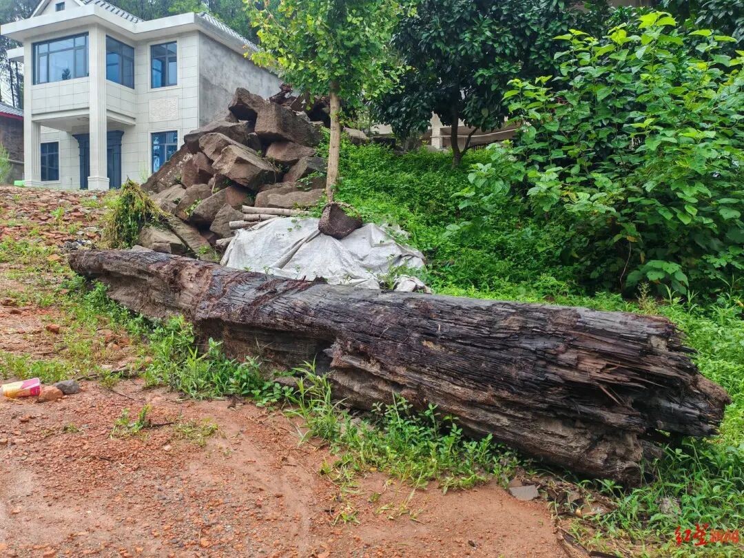 “村庄挖出疑似乌木”：村民被告知整治撂荒地，称曾有疑似乌木被挖出后运走；当地自规局等已介入处理