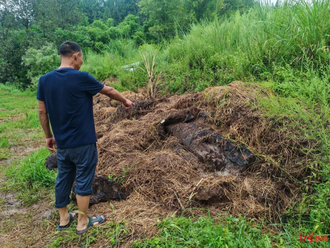 “村庄挖出疑似乌木”:村民被告知整治撂荒地,称曾有疑似乌木被挖出后运走;当地自规局等已介入处理(图2) 四川南部县乌木纠纷_彭州乌木案结果赔了多少钱_村民阻止挖掘机运走疑似乌木