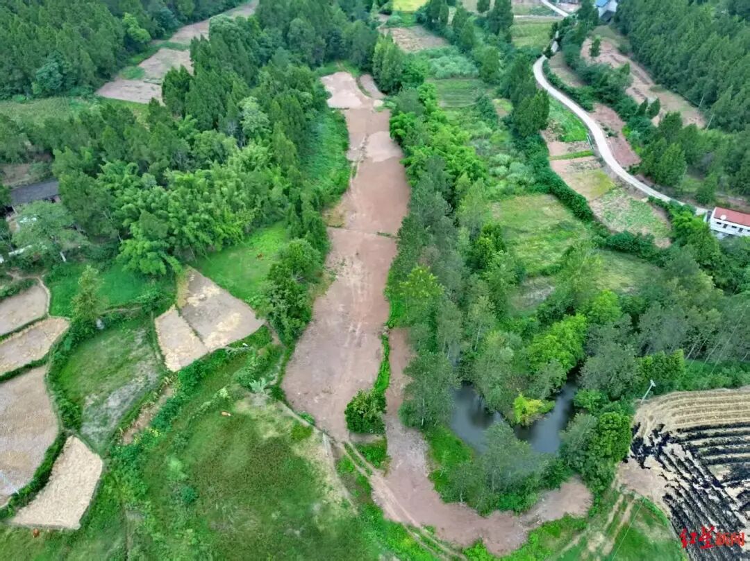 “村庄挖出疑似乌木”:村民被告知整治撂荒地,称曾有疑似乌木被挖出后运走;当地自规局等已介入处理(图7) 村民阻止挖掘机运走疑似乌木_彭州乌木案结果赔了多少钱_四川南部县乌木纠纷