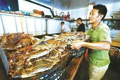 透骨新鲜的白蟹，吃了吗？宁波路林市场日销售海鲜超300吨